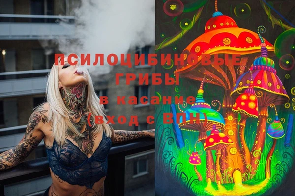 экстази Абаза
