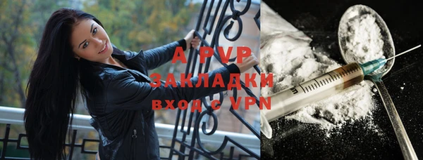 стафф Абинск