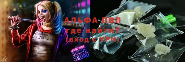стафф Абинск