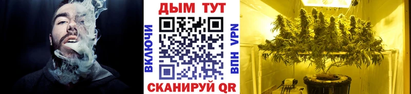 Канабис Ganja  Луга 